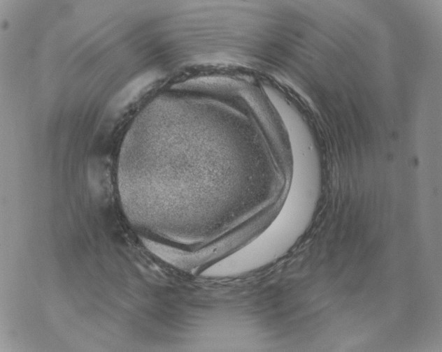 X0000070860968200607071853