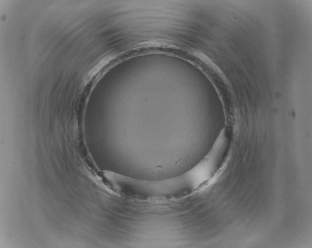 X0000070860969200607071853