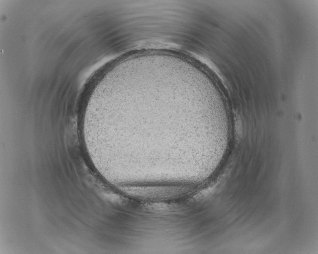 X0000070860971200607071853