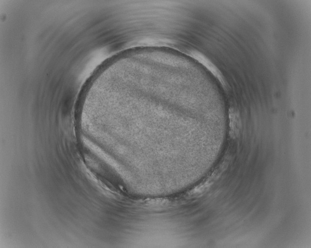 X0000070860972200607071853