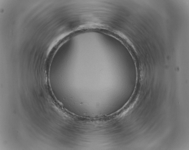 X0000070860973200607071853