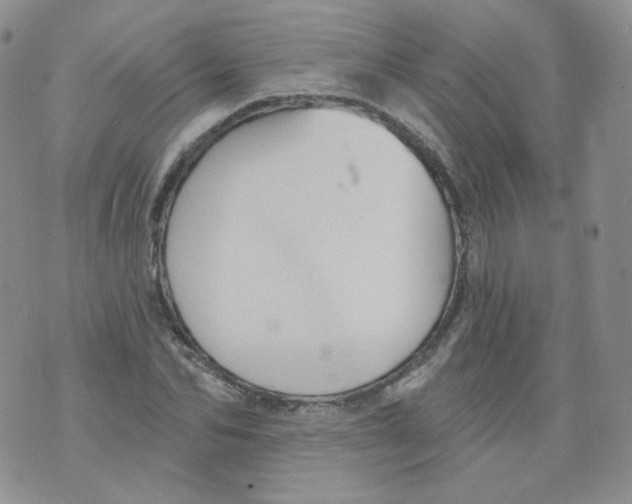 X0000070860974200607071853