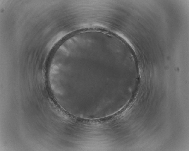 X0000070860975200607071853