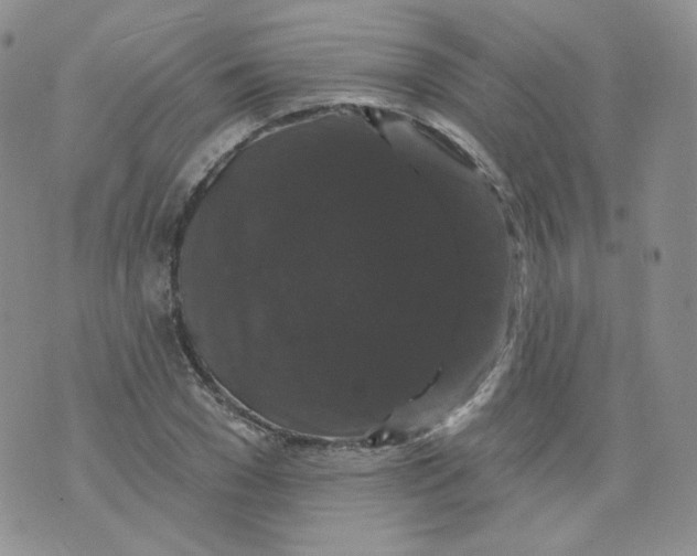 X0000070860977200607071853