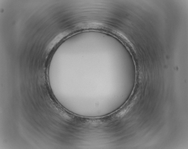 X0000070860978200607071853