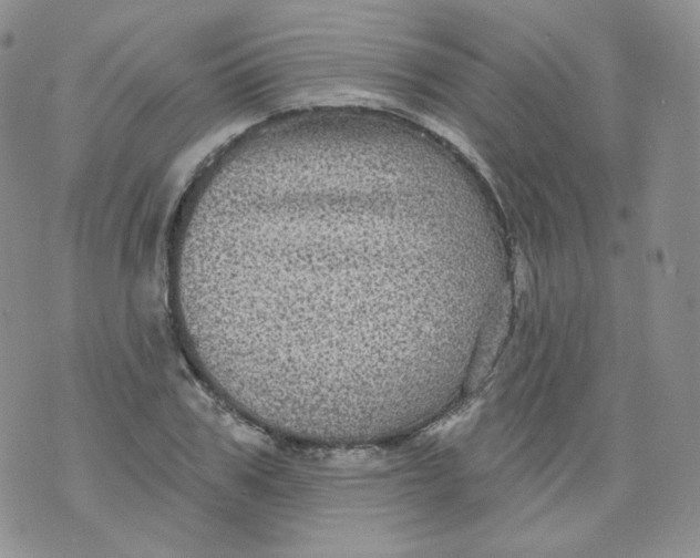 X0000070860979200607071853