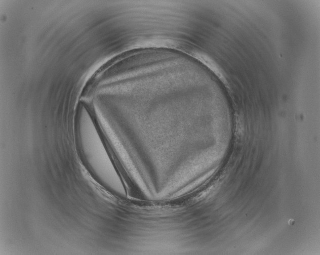 X0000070860980200607071853