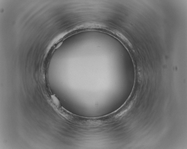 X0000070860981200607071853