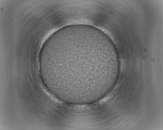 X0000070860982200607071853