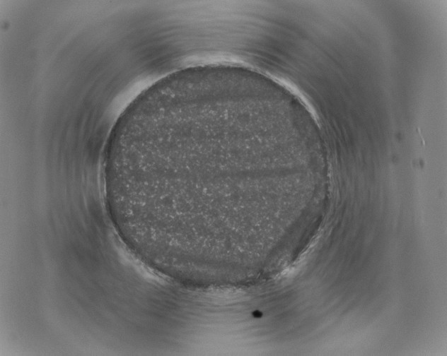 X0000070860983200607071853