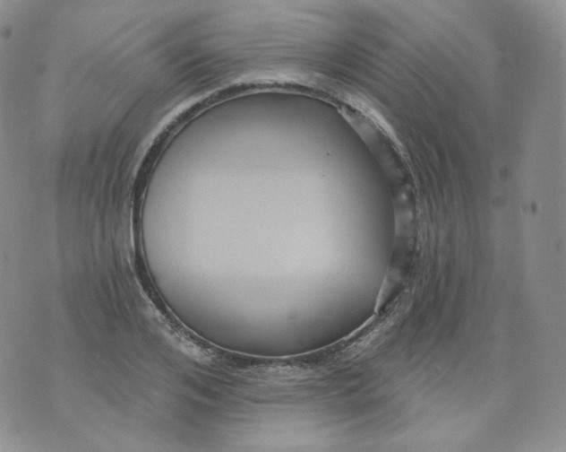 X0000070860984200607071853