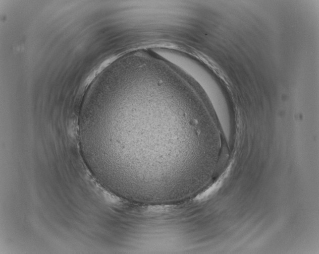 X0000070860985200607071853