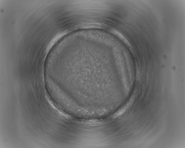 X0000070860986200607071853