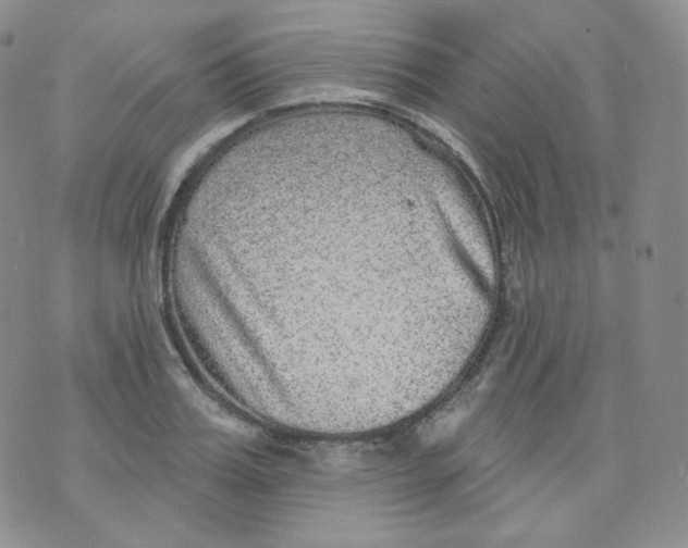 X0000070860987200607071853