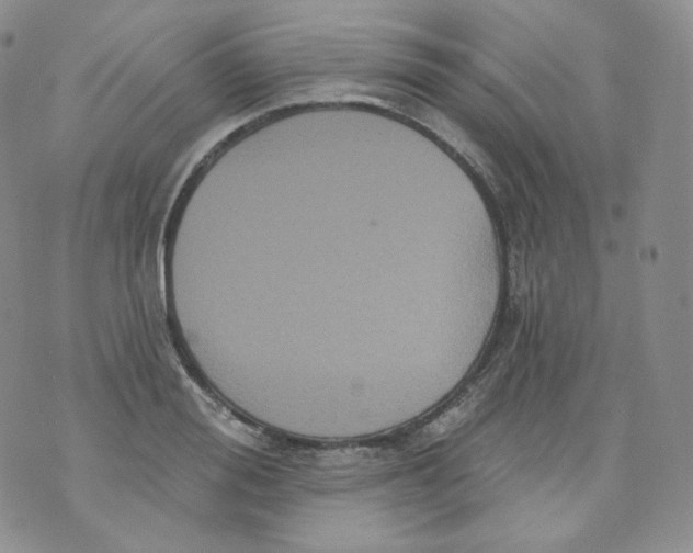 X0000070860988200607071853