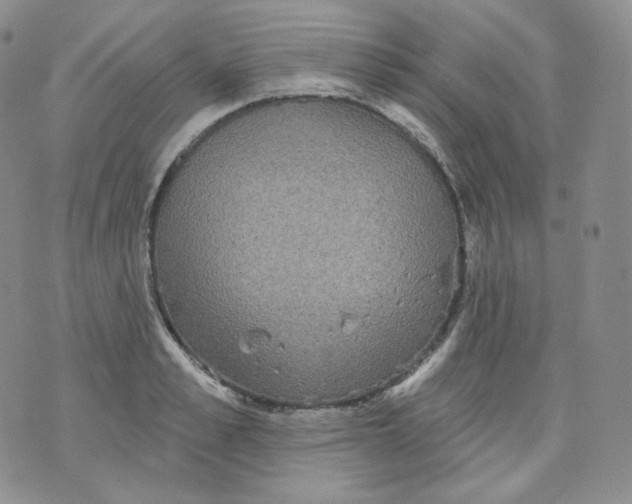 X0000070860989200607071853