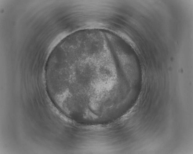 X0000070860990200607071853