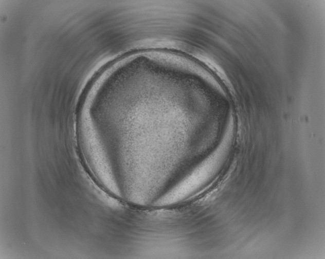 X0000070860992200607071853