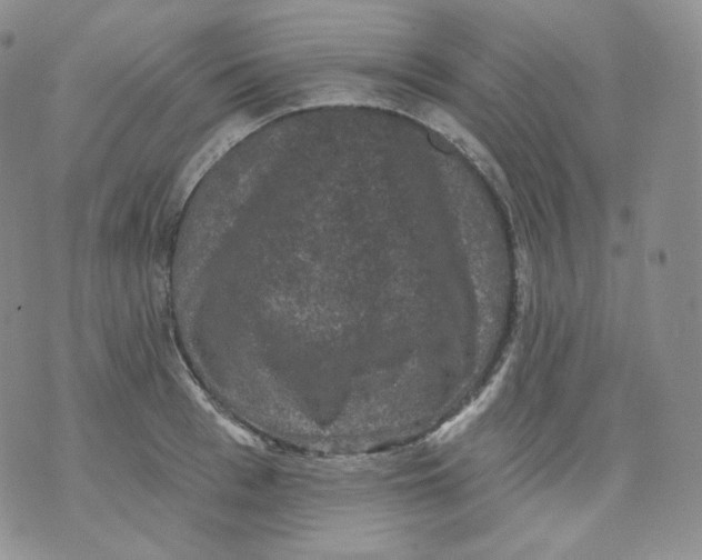 X0000070860993200607071853