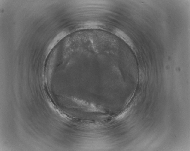 X0000070860994200607071853