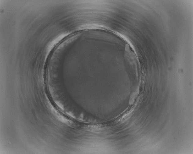 X0000070860995200607071853