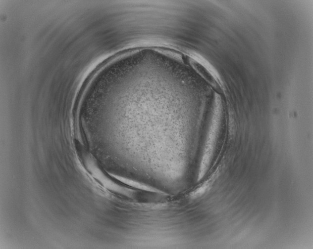 X0000070860996200607071853