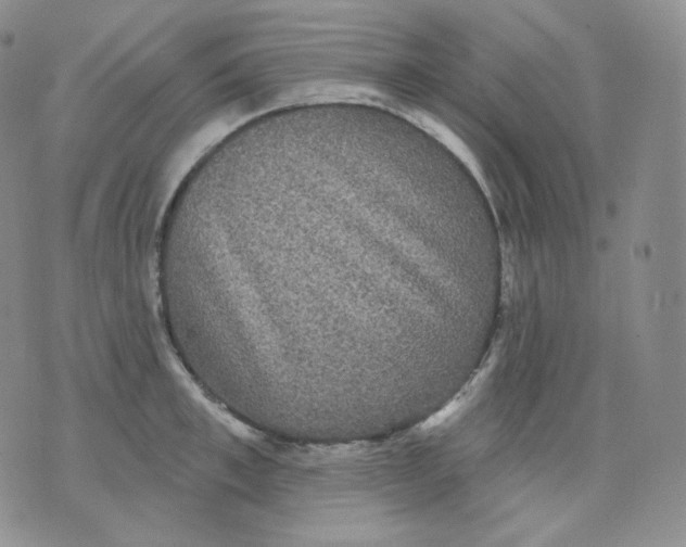 X0000070860997200607071853