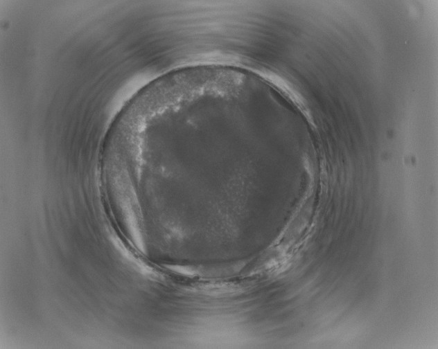 X0000070860998200607071853