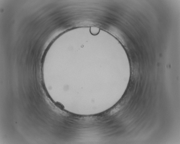 X0000070861000200607071853