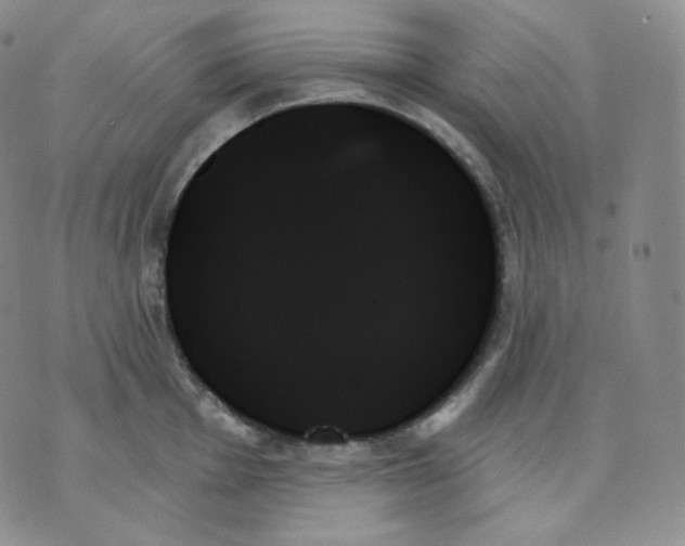 X0000070861001200607071853