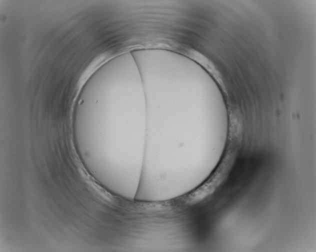 X0000070861002200607071853