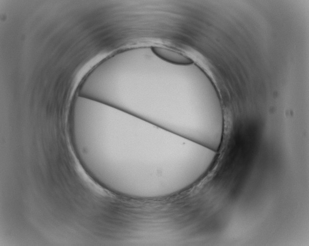 X0000070861003200607071853