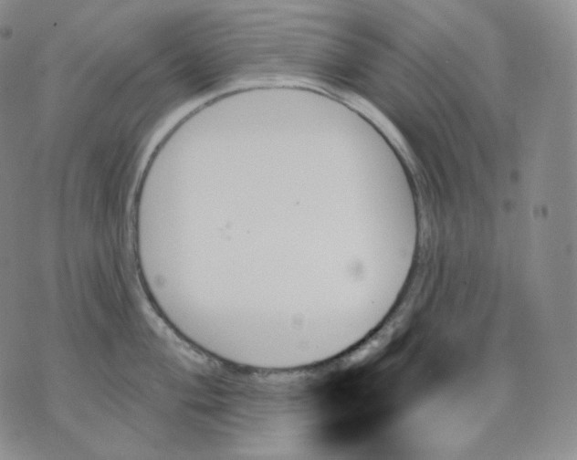 X0000070861004200607071853