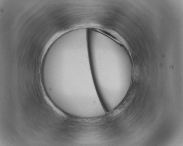 X0000070861005200607071853