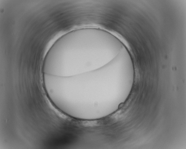 X0000070861006200607071853