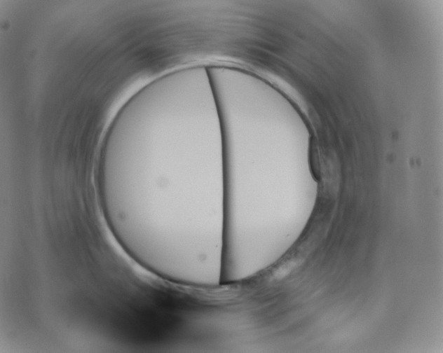 X0000070861007200607071853