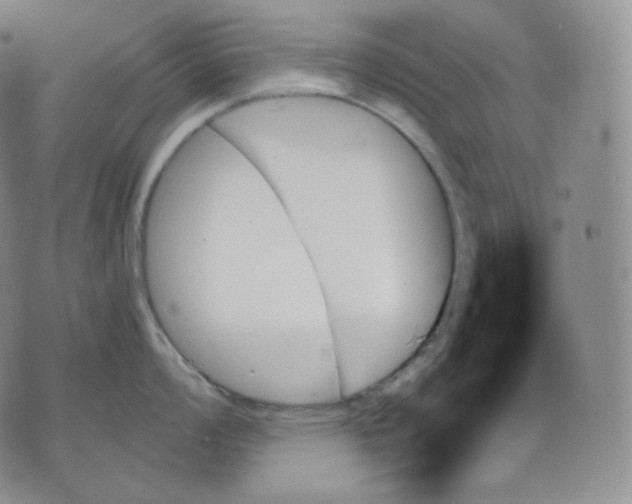 X0000070861008200607071853