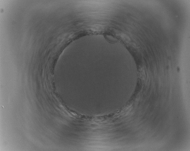 X0000070861009200607071852