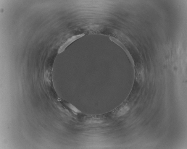 X0000070861010200607071852