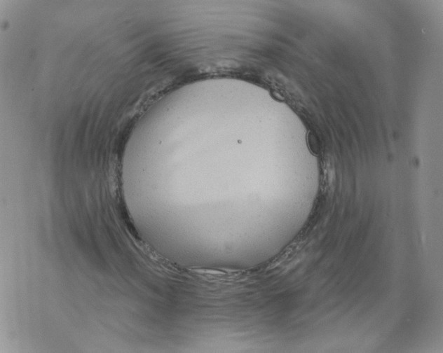 X0000070861012200607071852