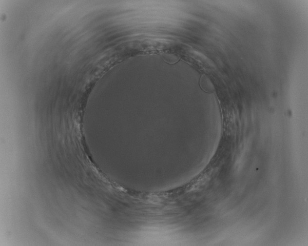 X0000070861013200607071852