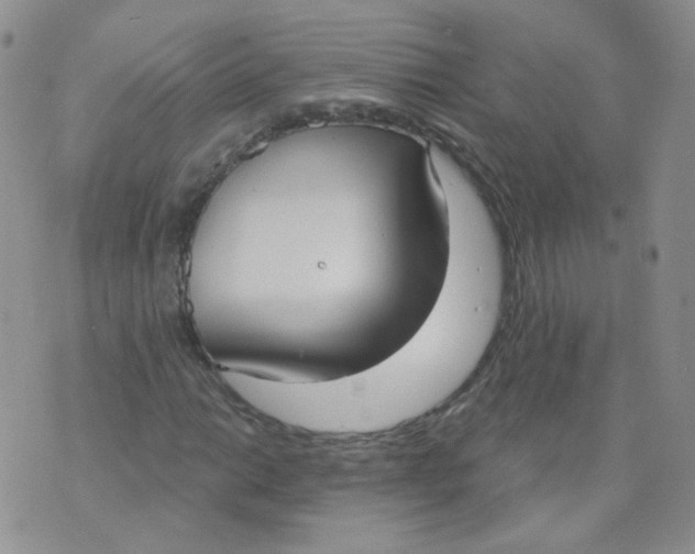 X0000070861014200607071852