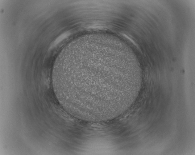 X0000070861015200607071852