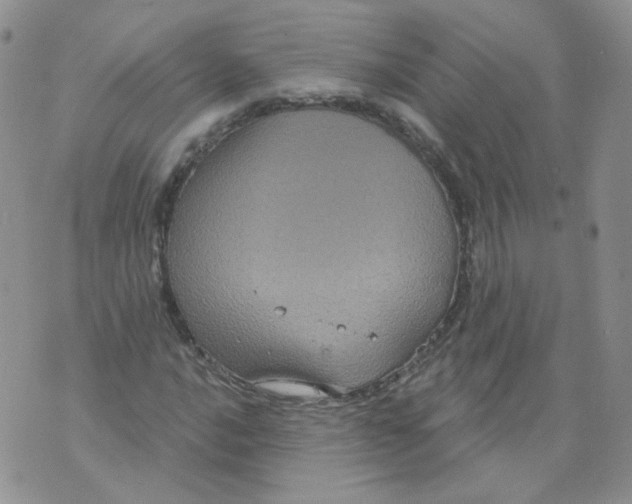 X0000070861016200607071852