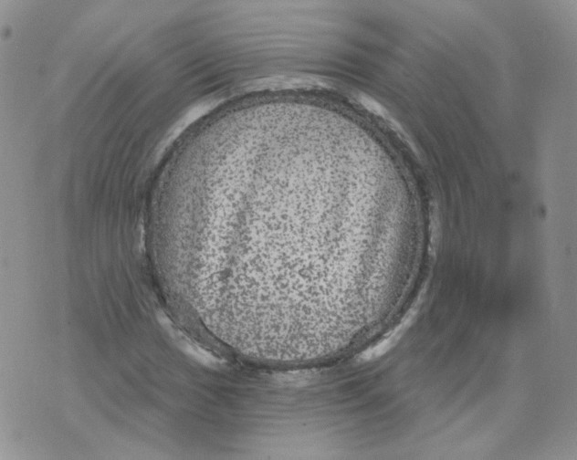 X0000070861017200607071852