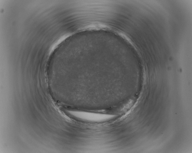 X0000070861018200607071852