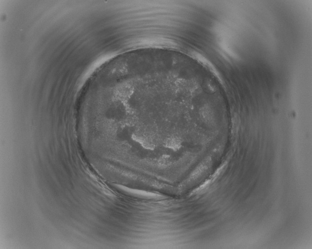 X0000070861019200607071852