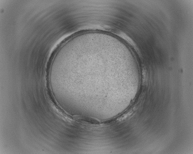 X0000070861020200607071852