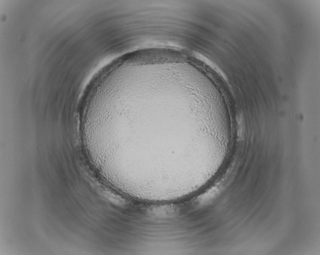 X0000070861021200607071852