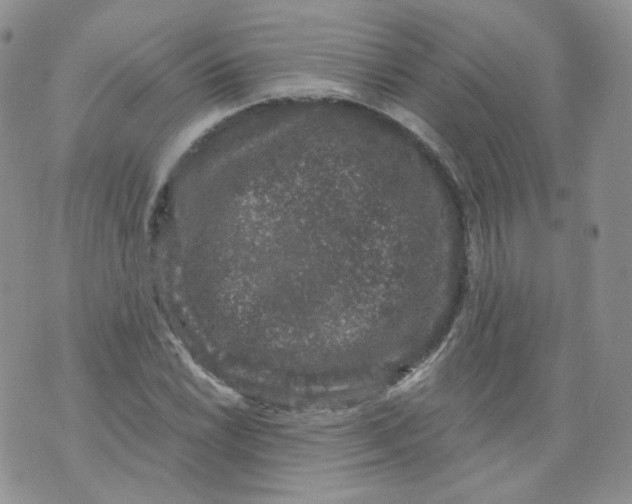 X0000070861022200607071852